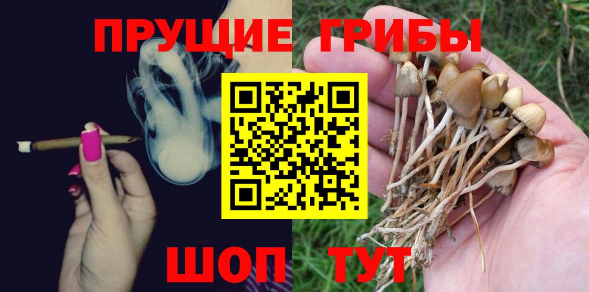 Псилоцибиновые грибы GOLDEN TEACHER Костомукша